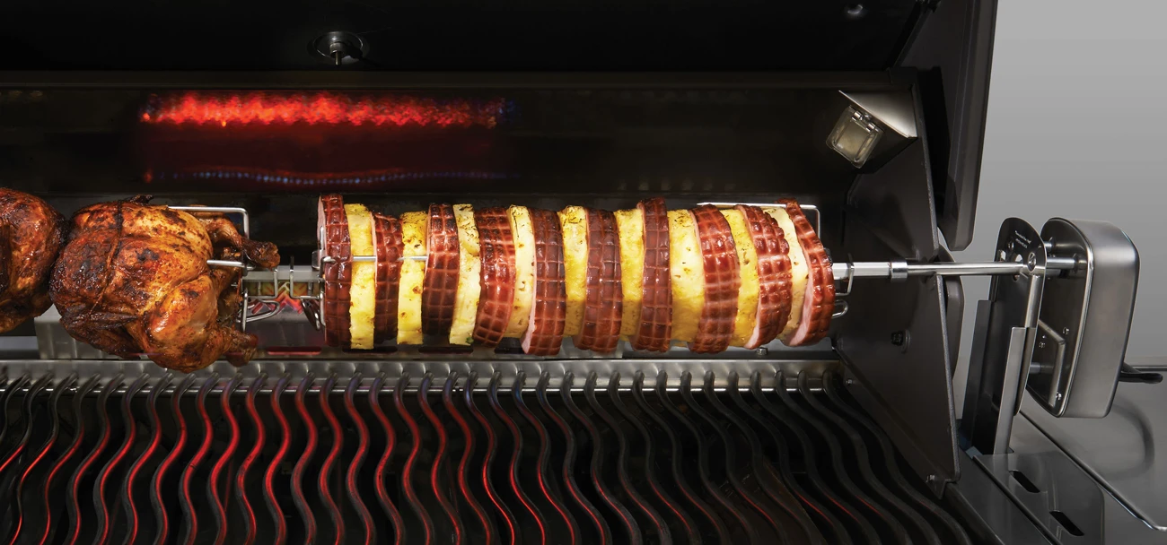 Asador Giratorio Para Napoleon Profesional PRO605CSS 2 Asador Giratorio Para Napoleon Profesional PRO605CSS - Imagen 2