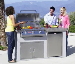 Bull Steer Premium Para Encastrar Gas Natural -Óptimo Barbacoa Tienda Barbacoa Gas Bull Steer Premium Encastrar 4a ml