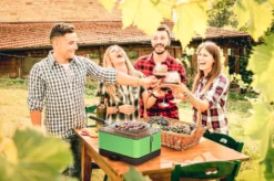 Barbacoa Portatil Sin Humo Teide Verde -Óptimo Barbacoa Tienda Barbacoa Portatil Sin Humo Teide Verde 11