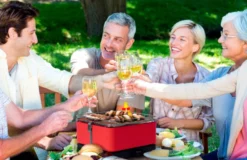 Barbacoa Portatil Sin Humo Vesubio Gris -Óptimo Barbacoa Tienda Barbacoa Portatil Sin Humo Vesubio Gris 16