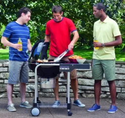 Weber Performer Original GBS 19 Weber Performer Original GBS -Óptimo Barbacoa Tienda Barbacoa Weber Performer Original 2