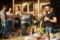 Barbacoa De Carbón Profesional Napoleon PRO605CSS 32 Barbacoa De Carbón Profesional Napoleon PRO605CSS -Óptimo Barbacoa Tienda Barbacoa de Carbon Profesional Napoleon PRO605CSS 15