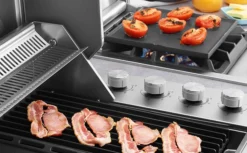 Isla Proline Tapa Horno Y Nevera Beefeater -Óptimo Barbacoa Tienda Isla Proline Tapa Horno y nevera Beefeater 5