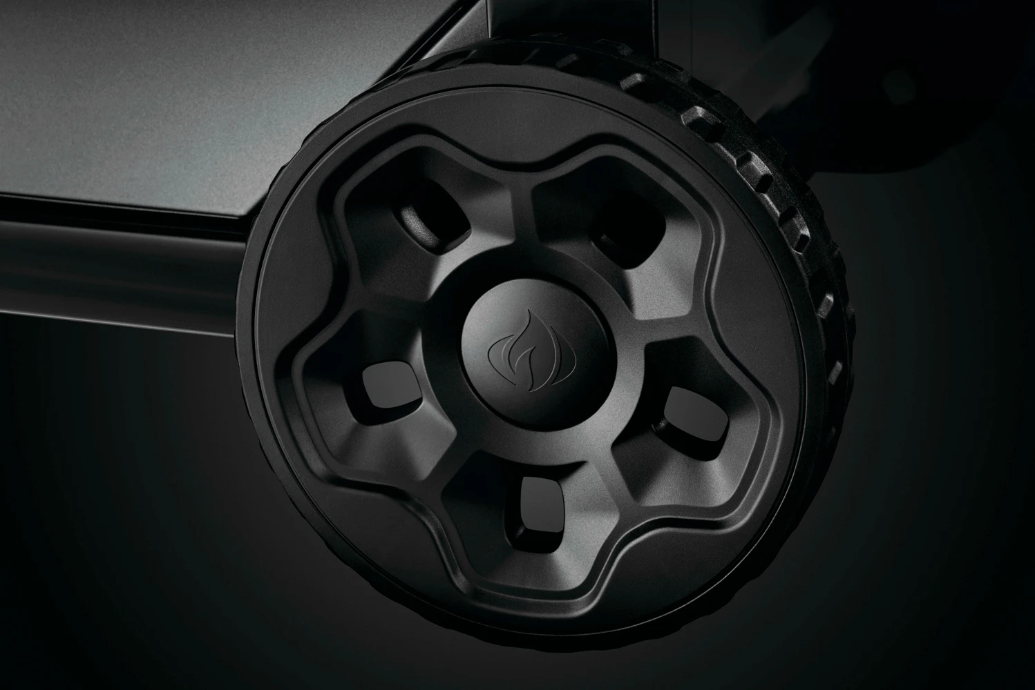 Napoleon Freestyle 365 14 Napoleon Freestyle 365 - Imagen 14