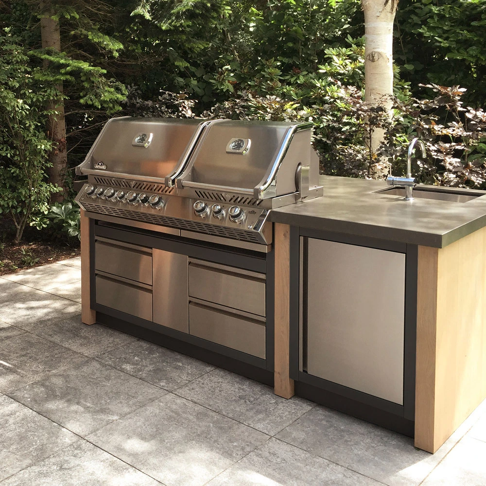 Napoleon Prestige Pro 825 Encastrar BIPRO825-3 12 Napoleon Prestige Pro 825 Encastrar BIPRO825-3 - Imagen 12