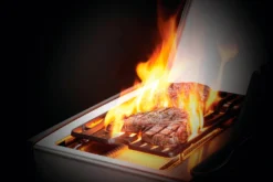 Napoleon Rogue SE 525 Inox. Quemador Lateral Y Trasero 29 Napoleon Rogue SE 525 Inox. Quemador Lateral Y Trasero -Óptimo Barbacoa Tienda Napoleon Rogue SE 525 Inox. Quemador Lateral y Trasero 10