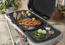 Plancha Para Weber Traveler -Óptimo Barbacoa Tienda Plancha para Weber Traveleer 3
