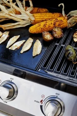 Signature S2000 C 4B -Óptimo Barbacoa Tienda Signature S2000 C 4B A17