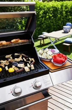 Signature S2000 C 5B -Óptimo Barbacoa Tienda Signature S2000 C 5B 10