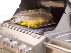 Barbacoa Weber Summit S-670 GBS Inox. -Óptimo Barbacoa Tienda WEBER Graz 0160