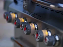 Barbacoa Weber Summit S-670 GBS Inox. -Óptimo Barbacoa Tienda WEBER Graz 0216