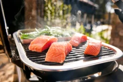 Weber Lumin 1000 Compact Negra 34 Weber Lumin 1000 Compact Negra -Óptimo Barbacoa Tienda Weber Lumin 1000 Compact Negra 181