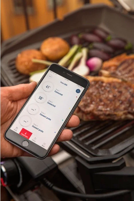 Weber Pulse 1000 10 Weber Pulse 1000 - Imagen 10