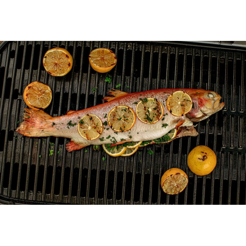 Weber Traveler Negra 17 Weber Traveler Negra - Imagen 17